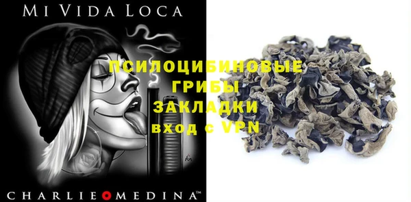 индика Алексеевка