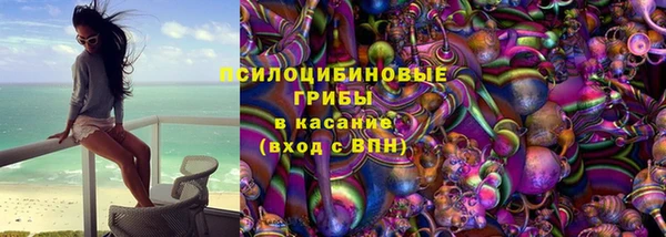 индика Алексеевка