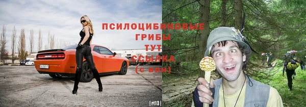 индика Алексеевка