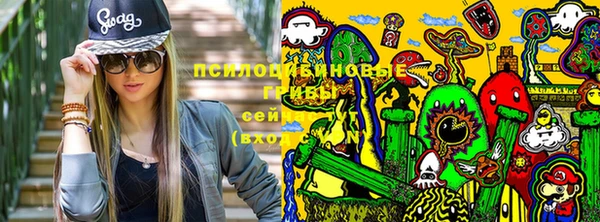 трава Алзамай