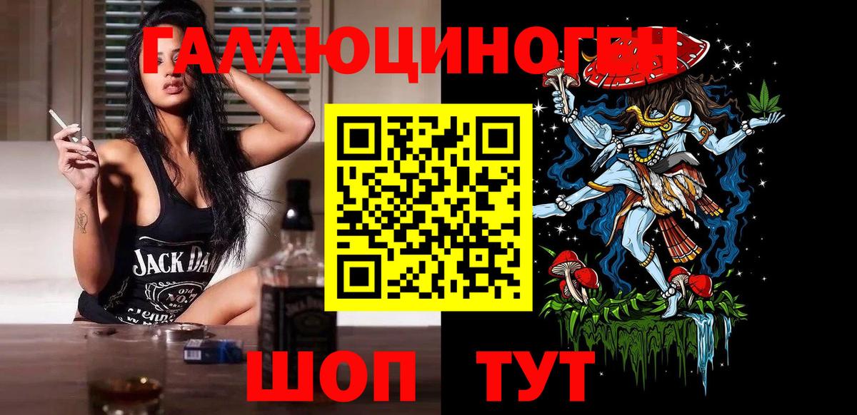 Псилоцибиновые грибы Psilocybe Обнинск